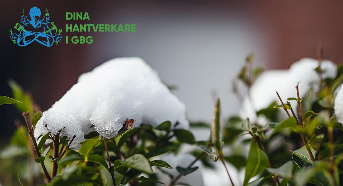 Skötsel av grönområden Göteborg
