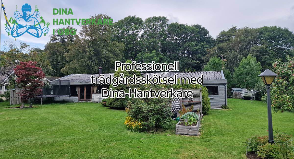 Professionell trädgårdsskötsel med Dina-Hantverkare
