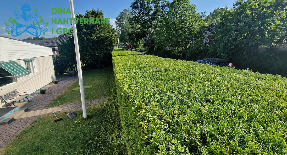 Innovativ Landskapsdesign