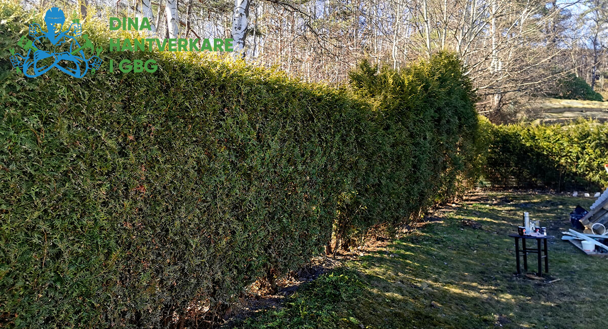Skreddarsydd gräsvård